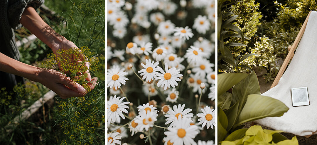 Ręce trzymające kwiaty w letnim ogrodzie